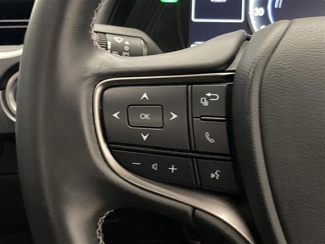 ＵＸ ＵＸ２５０ｈ　ＬＳＳ　純正メモリーナビ　ＥＴＣ２．０　ＬＥＤライト　バックモニター　純正ドラレコ　レーダークルコン　ＬＫＡ　ブルートゥース　フルセグ　オートエアコン　ＵＳＢ　スマートキー　ＣＤ・ＤＶＤ再生機能（15枚目）