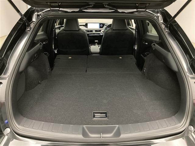 ＵＸ ＵＸ２５０ｈ　ＬＳＳ　純正メモリーナビ　ＥＴＣ２．０　ＬＥＤライト　バックモニター　純正ドラレコ　レーダークルコン　ＬＫＡ　ブルートゥース　フルセグ　オートエアコン　ＵＳＢ　スマートキー　ＣＤ・ＤＶＤ再生機能（27枚目）