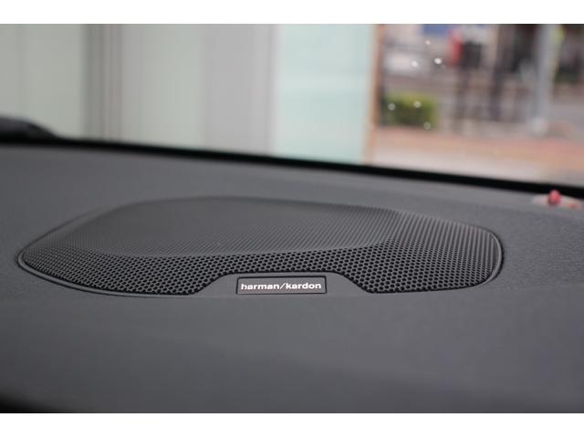 Ｖ４０ クロスカントリー　Ｄ４　サマム（8枚目）