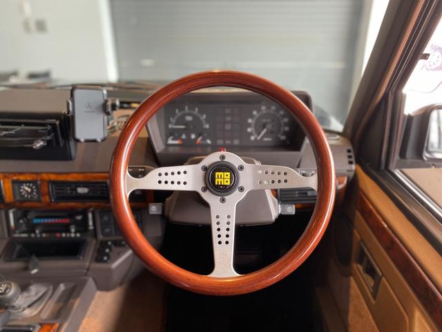 レンジローバー バンデンプラ 4WD スペシャルオーダーモデル 記録簿付き(17枚目)