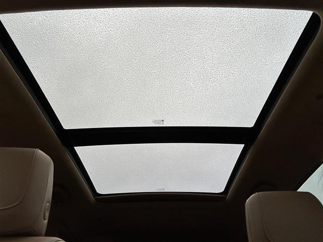 ＬＩＢＥＲＡＬＡの名前の由来はラテン語で「ｌｉｂｅｒａ：自由」と「ａｌａ：翼」を意味し、それらを組合せた造語です。自由な翼を得て思う存分人生を謳歌して欲しいという願いが込められています。