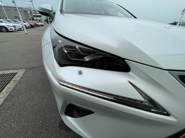 ＮＸ ＮＸ３００ｈ　Ｉパッケージ　黒革シート　シートヒーター　衝突軽減ブレーキ　アダプティブクルーズコントロール　ブラインドスポットモニター　純正ナビ　フルセグＴＶ　３６０カメラ　クリアランスソナー　電動リアゲート　三眼ＬＥＤライト（48枚目）