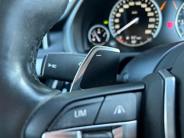 X6 xDrive 35i Mスポーツ セレクトパッケージ サンルーフ 黒革シート シートヒーター ソフトクローズドドア 衝突軽減ブレーキ アダプティブクルーズコントロール ブラインドスポットモニター 純正ナビ フルセグTV 360カメラ(14枚目)