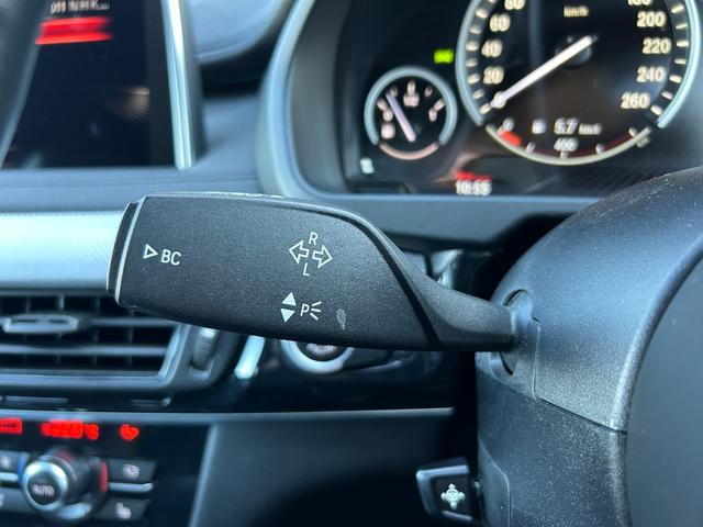 X6 xDrive 35i Mスポーツ セレクトパッケージ サンルーフ 黒革シート シートヒーター ソフトクローズドドア 衝突軽減ブレーキ アダプティブクルーズコントロール ブラインドスポットモニター 純正ナビ フルセグTV 360カメラ(16枚目)