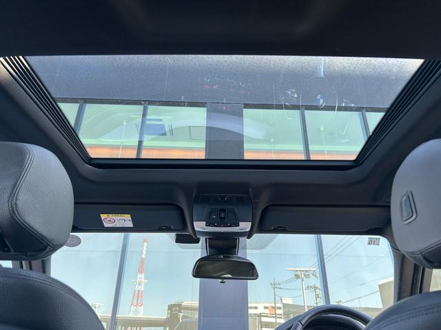 X6 xDrive 35i Mスポーツ セレクトパッケージ サンルーフ 黒革シート シートヒーター ソフトクローズドドア 衝突軽減ブレーキ アダプティブクルーズコントロール ブラインドスポットモニター 純正ナビ フルセグTV 360カメラ(23枚目)