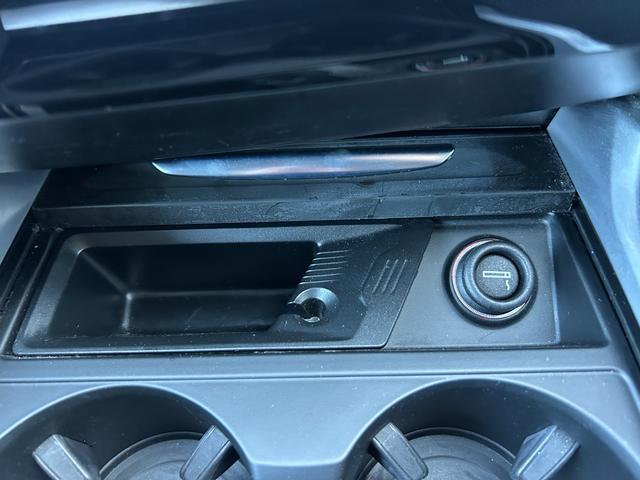 X6 xDrive 35i Mスポーツ セレクトパッケージ サンルーフ 黒革シート シートヒーター ソフトクローズドドア 衝突軽減ブレーキ アダプティブクルーズコントロール ブラインドスポットモニター 純正ナビ フルセグTV 360カメラ(29枚目)