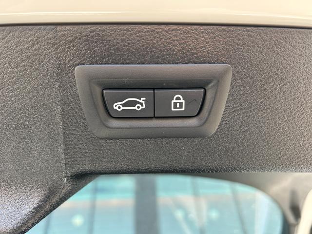 X6 xDrive 35i Mスポーツ セレクトパッケージ サンルーフ 黒革シート シートヒーター ソフトクローズドドア 衝突軽減ブレーキ アダプティブクルーズコントロール ブラインドスポットモニター 純正ナビ フルセグTV 360カメラ(48枚目)