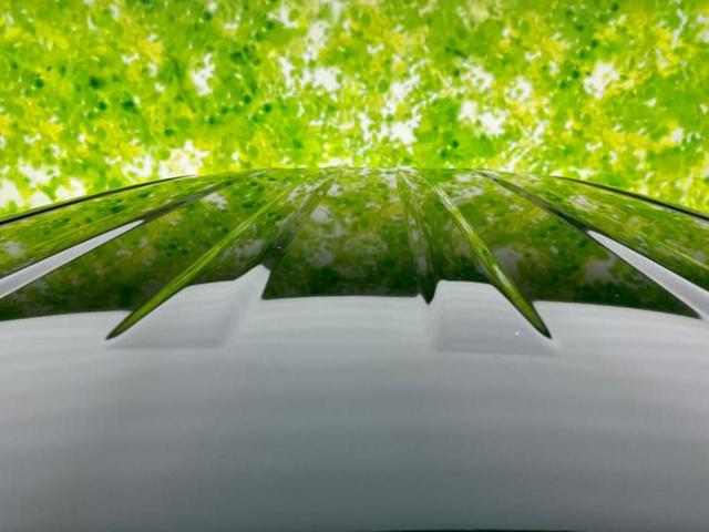 Ｎ－ＢＯＸ Ｇ・Ｌパッケージ　新品タイヤ／保証書／純正　ＳＤナビ／衝突安全装置／電動スライドドア／パーキングアシスト　バックガイド／Ｂｌｕｅｔｏｏｔｈ接続／ＥＴＣ／ＥＢＤ付ＡＢＳ／横滑り防止装置／アイドリングストップ　バックカメラ（47枚目）