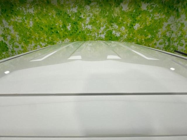 N-BOXカスタム ターボSSパッケージ 新品タイヤ/保証書/社外 SDナビ/衝突安全装置/両側電動スライドドア/ドライブレコーダー 社外/ヘッドランプ HID/Bluetooth接続/ETC/EBD付ABS/横滑り防止装置 バックカメラ(48枚目)