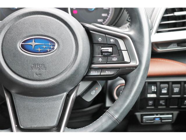 フォレスター アドバンス メモリーナビ ETC2.0(23枚目)