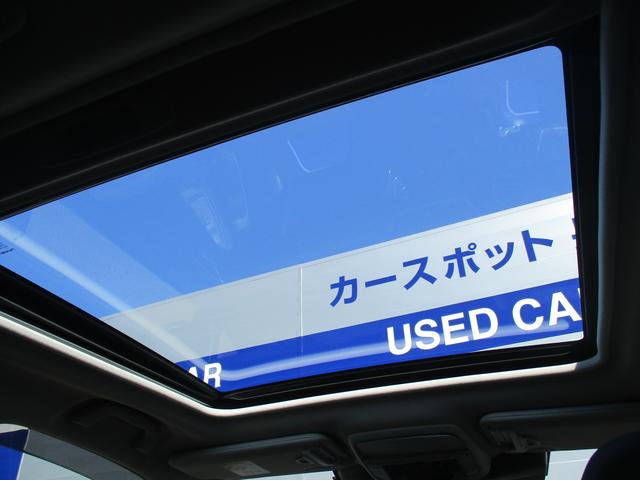フォレスター アドバンス　ＥｙｅＳｉｇｈｔ　ナビ／Ｒカメラ／ＥＴＣ２．０／ドライブレコーダー（47枚目）