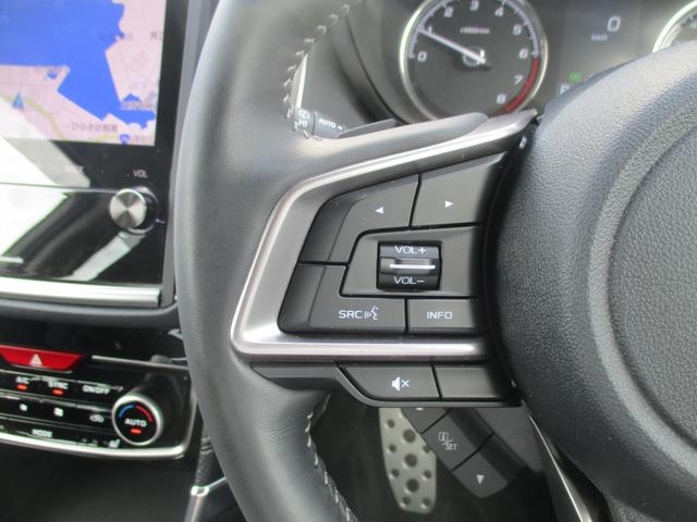 フォレスター スポーツ　ＥｙｅＳｉｇｈｔ　ナビ／Ｒカメラ／ＥＴＣ２．０／ドライブレコーダー（23枚目）