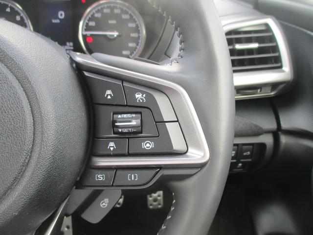 フォレスター スポーツ　ＥｙｅＳｉｇｈｔ　ナビ／Ｒカメラ／ＥＴＣ２．０／ドライブレコーダー（24枚目）