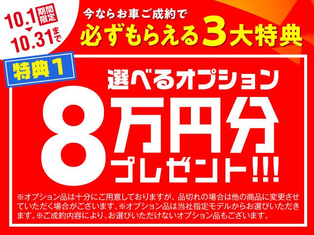 タイプＥ　サンドベージュレザーパッケージ　ＥＴＣ　オートクルーズコントロール　ＡＴ　ＨＩＤ　スマートキー　アルミホイール　革シート　パワーシート　衝突安全ボディ　ＡＢＳ　エアコン　パワーステアリング　パワーウィンドウ(2枚目)