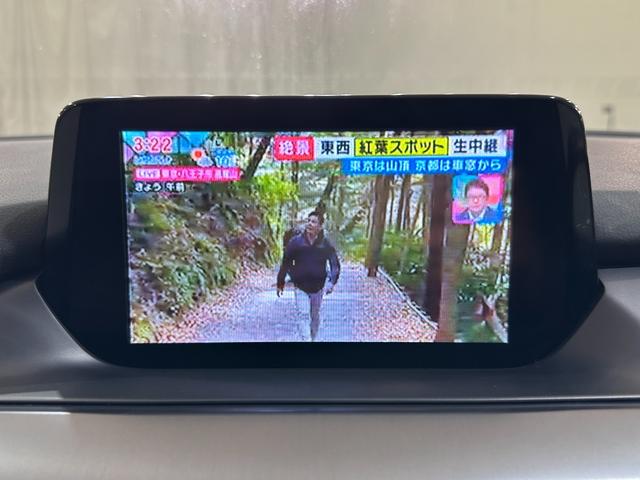 是非一度、実車を御覧ください。