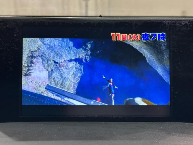 NX NX300h Iパッケージ レザーシート エアロ ETC バックカメラ クリアランスソナー アダプティブクルーズコントロール レーンアシスト パワーシート 衝突被害軽減システム ナビ TV オートマチックハイビーム ムーンルーフ(44枚目)