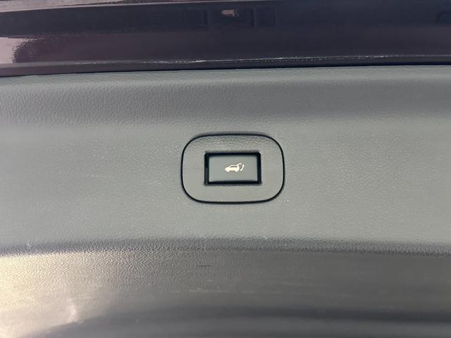 エルグランド 350ハイウェイスター ハーフレザー ドライブレコーダー ETC 全周囲カメラ ナビ TV クリアランスソナー 両側電動スライドドア オートライト HID 電動リアゲート スマートキー 後席モニター 3列シート オットマン(29枚目)