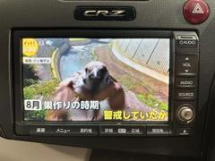 ٤ŹΤ֤ˤʤäƤˤ꤬Ȥޤä긽ֳǧĺ褦פޤ 2