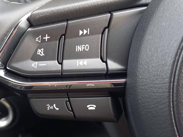 XDエクスクルーシブモード 純正 8インチ メモリーナビ/BOSE/シート フルレザー/ヘッドランプ LED/ETC/フルセグTV/アルミホイール 純正 17インチ/キーレスエントリー/オートエアコン/ワンオーナー 革シート(28枚目)