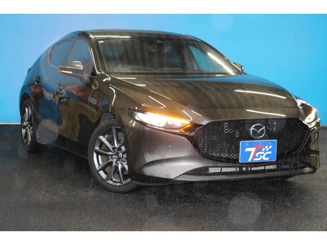 ＭＡＺＤＡ３ファストバック ２０Ｓプロアクティブ　ツーリングセレクション　６速ＭＴ／３６０度セーフティパッケージ／ＢＯＳＥサウンド／パワーシート／シートヒーター／アダプティブＬＥＤヘッドランプ／レーダークルーズコントロール／フルセグＴＶ／ブルートゥース／ＵＳＢ／ＨＤＭＩ（53枚目）