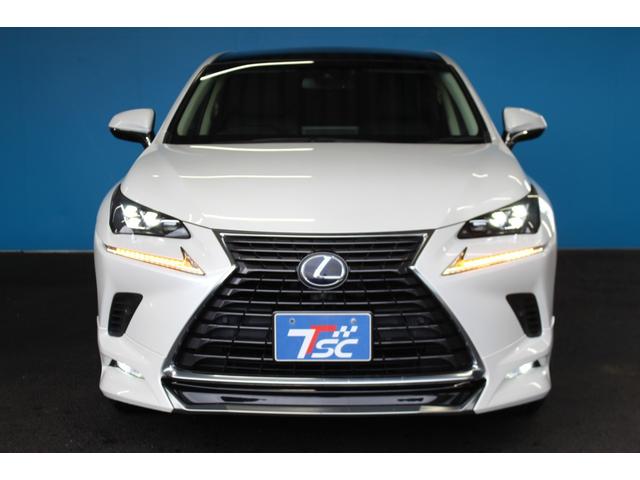 LEXUS NX NX300H I PACKAGE