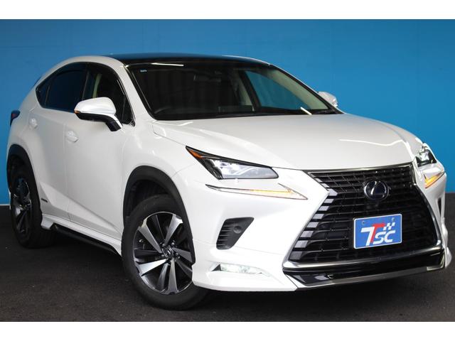 LEXUS NX NX300H I PACKAGE