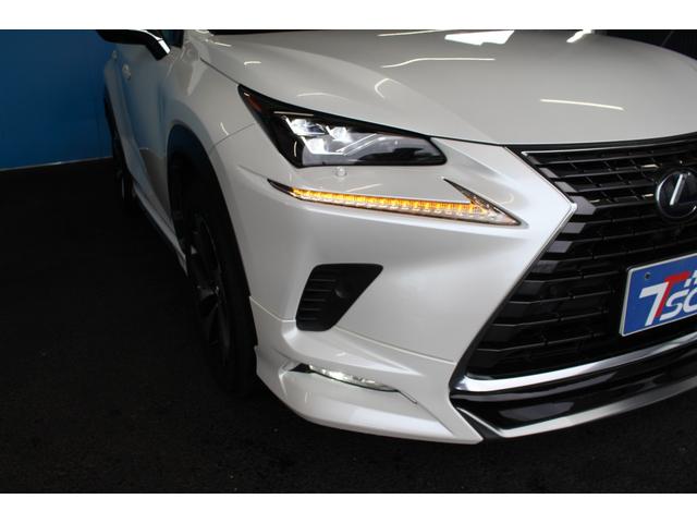 LEXUS NX NX300H I PACKAGE