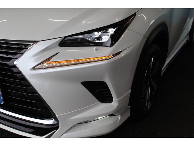 LEXUS NX NX300H I PACKAGE