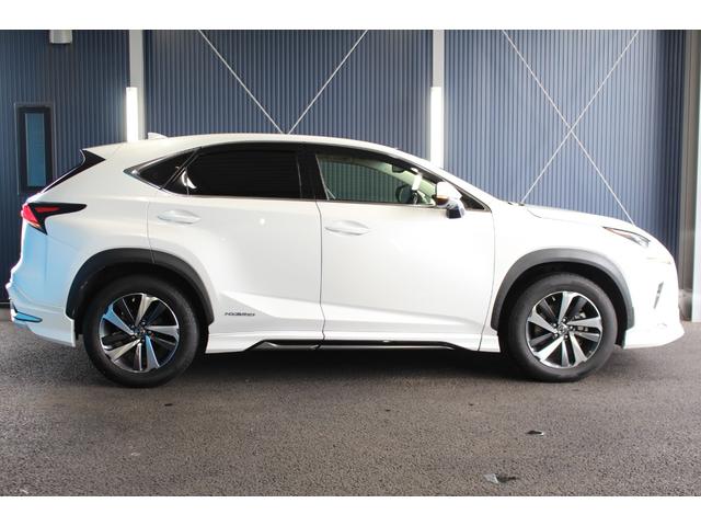 LEXUS NX NX300H I PACKAGE