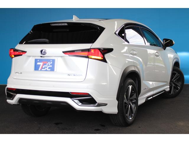 LEXUS NX NX300H I PACKAGE