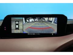 ̥ۥ饦ɥӥ塼˥Ͽ夫鸫ͤ˼֤μϤɽ뤳Ȥǡֻΰޤ 6