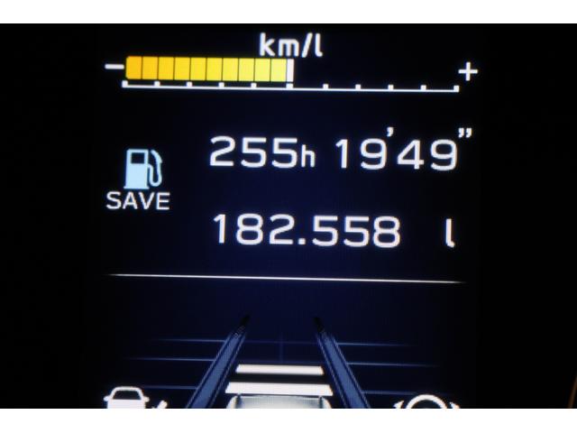 フォレスター アドバンス フロントサイドビューカメラ タンレザー仕様 パナソニックBlu-ray再生ナビ ETC2.0 バックカメラ フロントサイドビューカメラ カーゴステップパネル ステアリングヒーター シートヒーター VDC SRVD AVH RAB SRH EPB(41枚目)