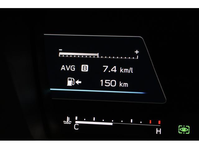 レヴォーグ ＳＴＩ　Ｓｐｏｒｔ　アイサイトＸ　ＳＴＩエアロ装備　ＳＴＩフロントアンダースポイラー　ＳＴＩサイドアンダースポイラー　ウエストスポイラー　ルーフスポイラー　ドアハンドルプロテクター（25枚目）