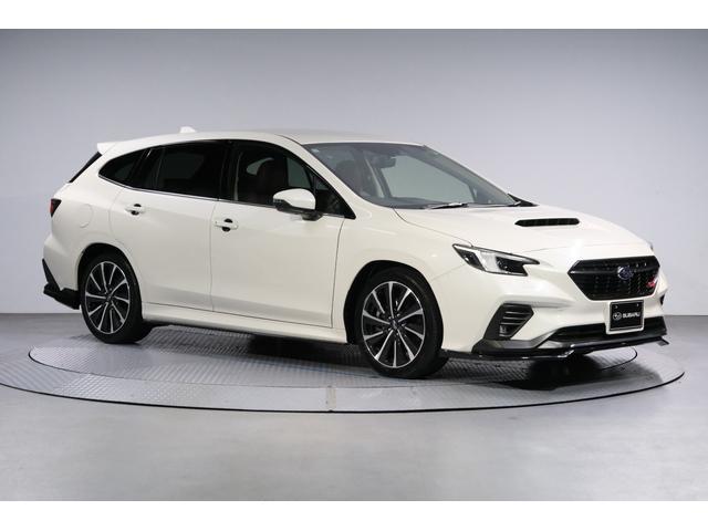 レヴォーグ ＳＴＩ　Ｓｐｏｒｔ　アイサイトＸ　ＳＴＩエアロ装備　ＳＴＩフロントアンダースポイラー　ＳＴＩサイドアンダースポイラー　ウエストスポイラー　ルーフスポイラー　ドアハンドルプロテクター（63枚目）