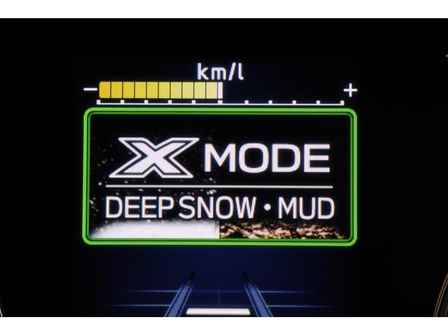 フォレスター Ａｄｖａｎｃｅ　ＥｙｅＳｉｇｈｔ　ブラウンレザー　Ｆカメラ　パワーリヤゲート　ブラウン本皮シート　ルーフレール　アイサイトセイフティプラス（視界拡張）　ドライブレコーダー　ＥＴＣ（65枚目）