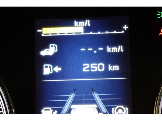 フォレスター アドバンス　デジタルミラー　ＳＴＩエアロ　フロントカメラ　パワーリヤゲート　　サイドビューモニター　　ドライバーモニタリングシステム　　アイサイトセイフティプラス【運転支援・視界拡張】　　ルーフレール（60枚目）