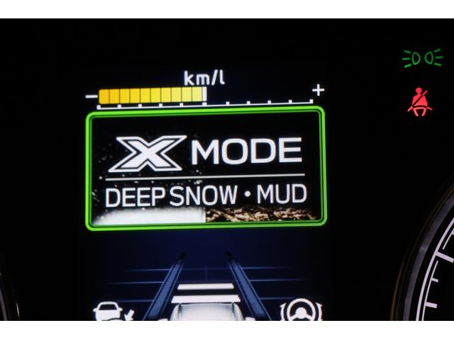 フォレスター スポーツ サンルーフ 電動リヤゲート 8型ナビ ドラレコ Bluetooth接続可能8インチDIATONEナビ フロント&サイド&バックカメラ付 リヤビークルディテクション カーゴステップパネル(60枚目)