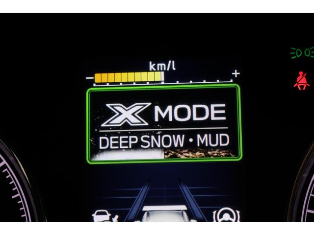 フォレスター アドバンス 後期F型 ルーフレール ドラレコ(61枚目)