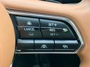 ４ＷＤ　ＸＤハイブリッドプレミアムスポーツ　サンルーフ／ＢＯＳＥ／保証書／純正　１１．６インチ　ＳＤナビ／衝突安全装置／シートヒーター／全方位モニター／車線逸脱防止支援システム／シート　ハーフレザー／パーキングアシスト　バックガイド　電動シート（33枚目）