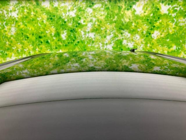 ルーミー カスタムG 新品タイヤ/保証書/ディスプレイオーディオ9インチ/スマートアシスト(トヨタ・ダイハツ)/両側電動スライドドア/シートヒーター 前席/パノラミックビューモニター/車線逸脱防止支援システム 全周囲カメラ(42枚目)