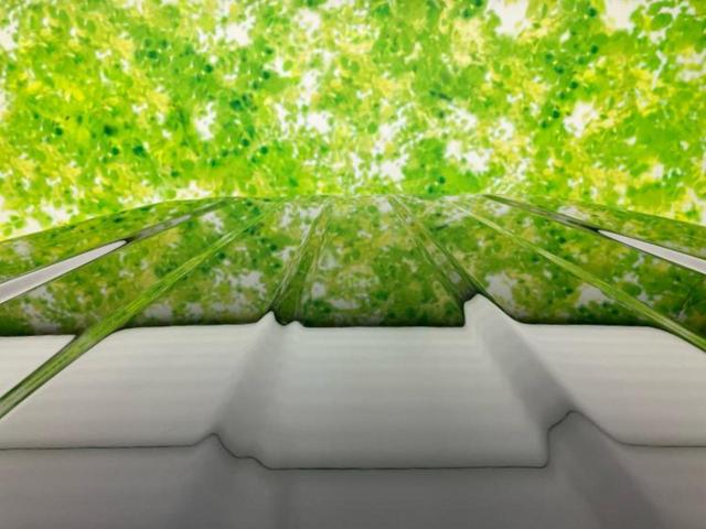 ジムニーシエラ 4WD JC 社外 SDナビ/衝突安全装置/シートヒーター/車線逸脱防止支援システム/ヘッドランプ HID/ETC/EBD付ABS/横滑り防止装置/フルセグTV/禁煙車/エアバッグ 運転席/エアバッグ 助手席(25枚目)