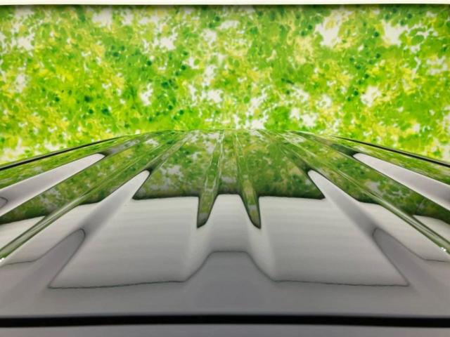 N-BOXカスタム ターボ 保証書/純正 9インチ ナビ/ホンダセンシング/両側電動スライドドア/シートヒーター 前席/車線逸脱防止支援システム/シート ハーフレザー/ヘッドランプ LED/USBジャック ターボ バックカメラ(42枚目)