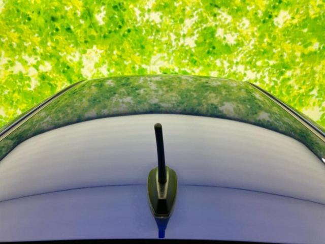 キャスト G SA2 新品タイヤ/衝突安全装置/車線逸脱防止支援システム/ヘッドランプ LED/EBD付ABS/横滑り防止装置/アイドリングストップ/エアバッグ 運転席/エアバッグ 助手席 衝突被害軽減システム 記録簿(39枚目)