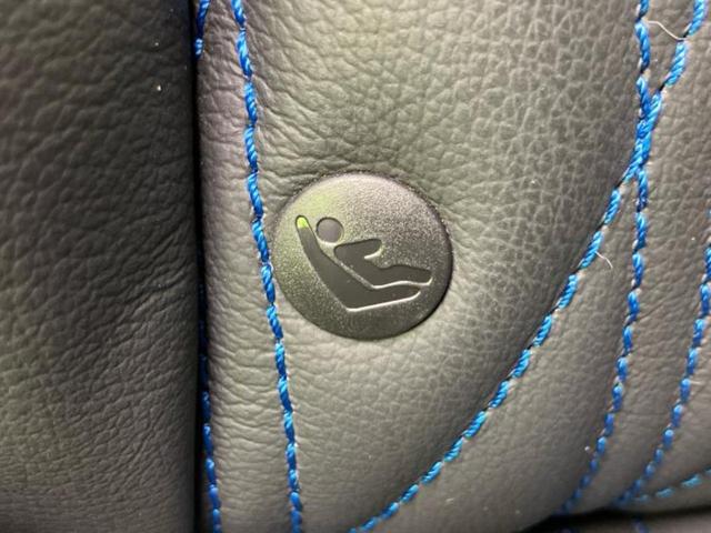 エルグランド オーテック サンルーフ/保証書/純正 10インチ ナビ/フリップダウンモニター/エマージェンシーブレーキ/両側電動スライドドア/シートヒーター 前席/アラウンドビューモニター/車線逸脱防止支援システム 電動シート(40枚目)