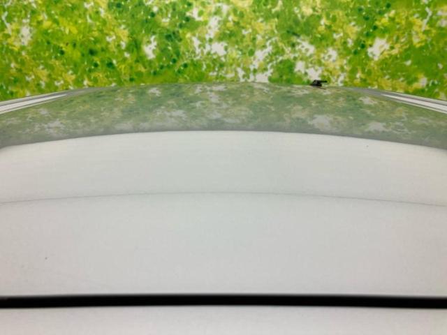 タンク X S 純正 SDナビ/衝突安全装置/電動スライドドア/車線逸脱防止支援システム/ETC/EBD付ABS/横滑り防止装置/アイドリングストップ/ワンセグTV/エアバッグ 運転席/エアバッグ 助手席 記録簿(41枚目)