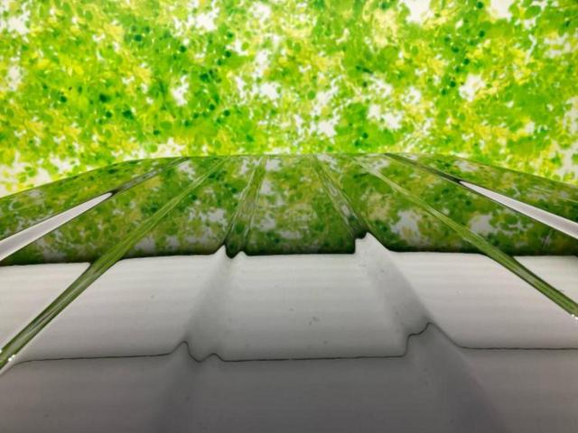 ジムニー 4WD XC 保証書/社外 8インチ ナビ/衝突安全装置/シートヒーター 前席/車線逸脱防止支援システム/ヘッドランプ LED/Bluetooth接続/ETC/EBD付ABS/横滑り防止装置 ターボ バックカメラ(42枚目)