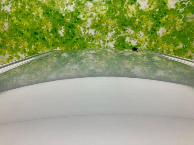 タント Ｌ　社外　ＳＤナビ／ＥＢＤ付ＡＢＳ／アイドリングストップ／ワンセグＴＶ／禁煙車／エアバッグ　運転席／エアバッグ　助手席／アルミホイール　社外　１４インチ／パワーウインドウ／キーレスエントリー（39枚目）