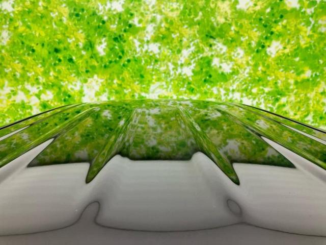 ＡＺワゴンカスタムスタイル ＸＳリミテッド　社外　ＳＤナビ／シートヒーター　運転席／ヘッドランプ　ＨＩＤ／ＥＢＤ付ＡＢＳ／ワンセグＴＶ／エアバッグ　運転席／エアバッグ　助手席／アルミホイール　純正　１５インチ／パワーウインドウ　盗難防止装置（40枚目）