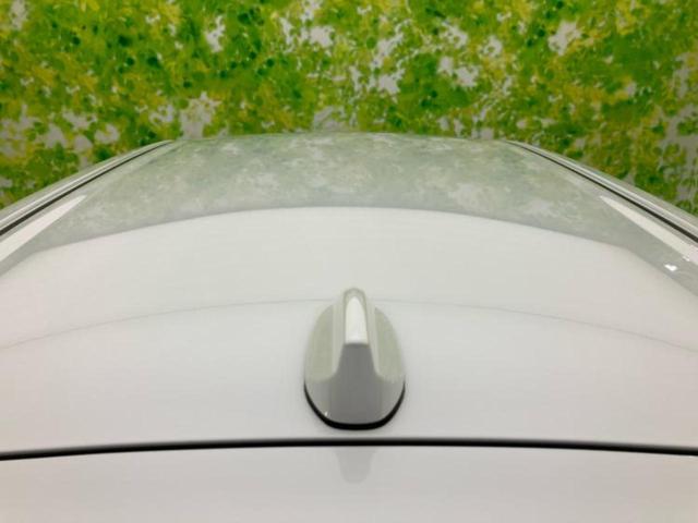 ライズ Z 保証書/純正 SDナビ/衝突安全装置/シートヒーター 前席/パノラミックビューモニター/車線逸脱防止支援システム/ヘッドランプ LED/USBジャック/HDMI接続/ETC2.0/EBD付ABS(46枚目)