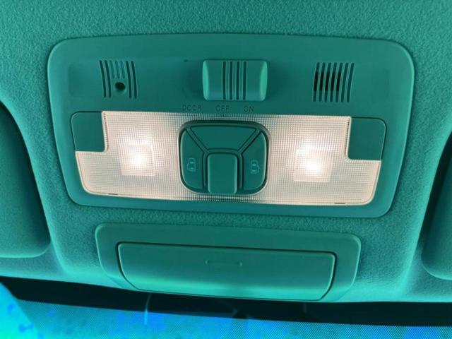 �u���̎Ԃ̎ʐ^�������ƌ������v�u��Ԃ��C�ɂȂ�v�u���̑����͂��Ă���H�v�ǂ�ȏ����ȋ^��ł����C�y�ɂ��₢���킹���������I